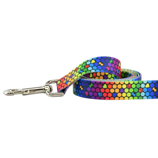 ROY G BIV Dog Leash – EarthStyle