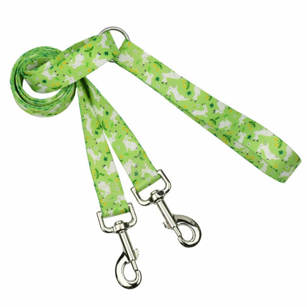 Lucky Dog Double Connection Leash – EarthStyle