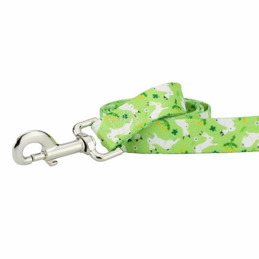 Lucky Dog Leash – EarthStyle