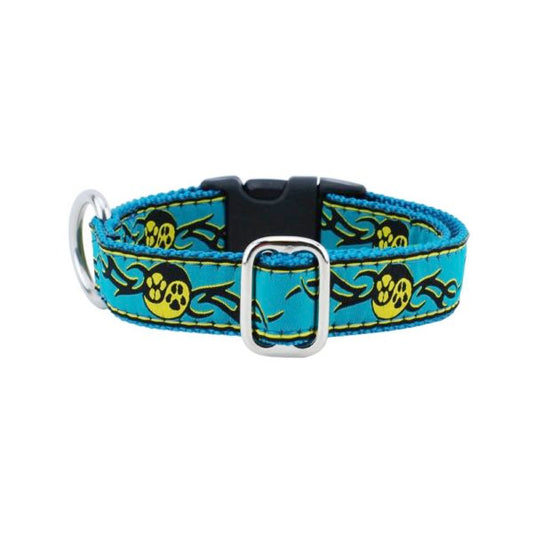 1″ Paw Yang Teal Essential Buckle Martingale Dog Collar