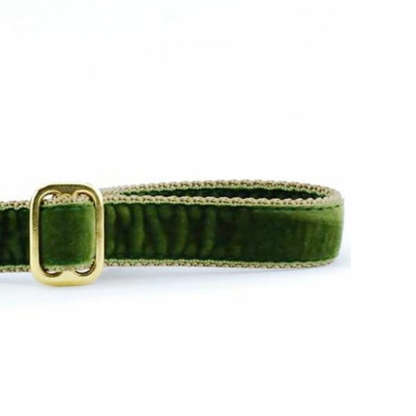 Moss Green Velvet Dog Leash