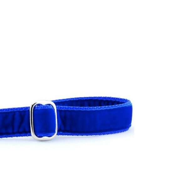 Royal Blue Velvet Dog Leash