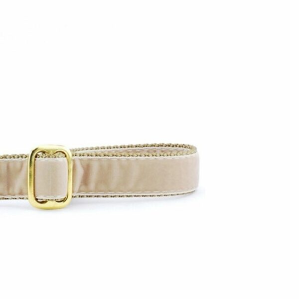 Tan Velvet Dog Leash