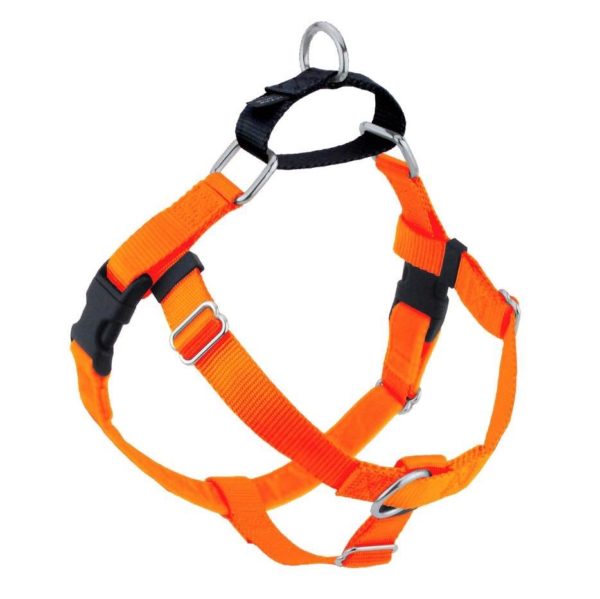 Neon Orange Freedom No-Pull Dog Harness